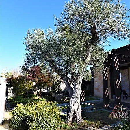 Nyaraló Baia Bianca